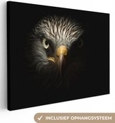 Canvas Schilderij Vogel - Adelaar - Roofvogels - Oog - Snavel - Licht - 80x60 cm - Wanddecoratie