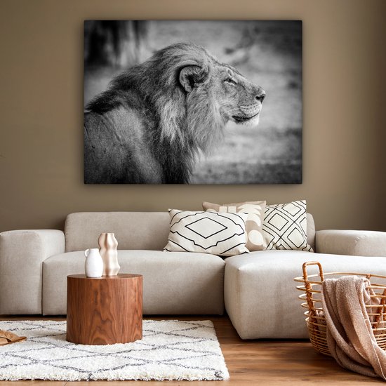 Toile de lion mâle 2cm 160x120 cm - Tirage photo sur toile (Décoration murale salon / chambre) / Animaux sauvages Peintures sur toile XXL / Groot format!