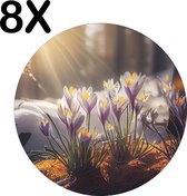 BWK Flexibele Ronde Placemat - Krokussen in het Bos - Set van 8 Placemats - 40x40 cm - PVC Doek - Afneembaar