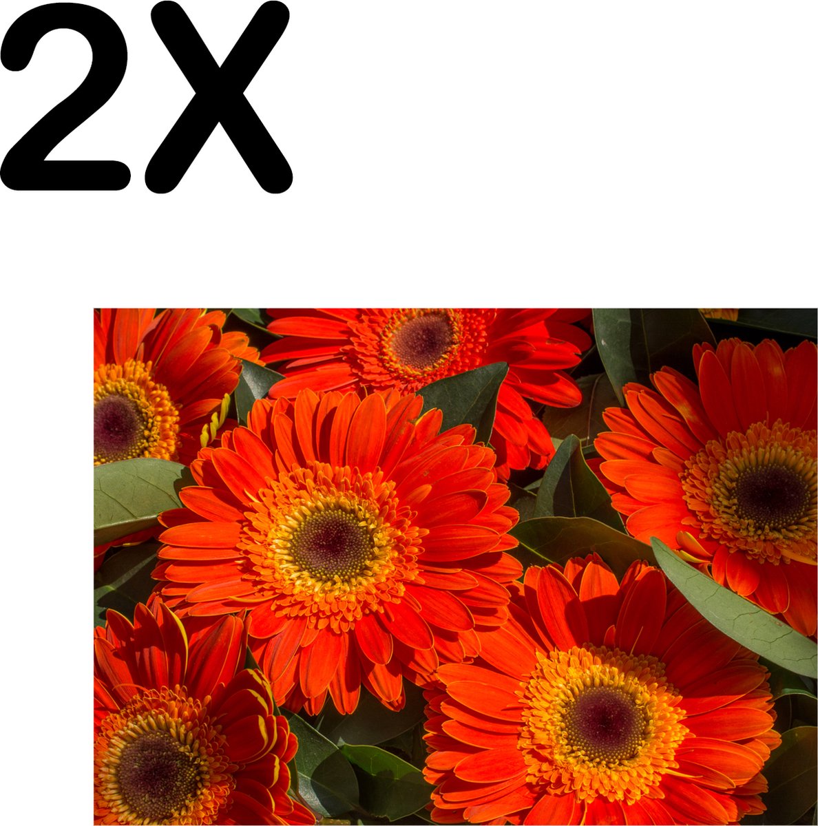 BWK Textiele Placemat - Rode Kleurrijke Bloemen in de Natuur - Set van 2 Placemats - 40x30 cm - Polyester Stof - Afneembaar