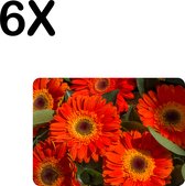 BWK Luxe Placemat - Rode Kleurrijke Bloemen in de Natuur - Set van 6 Placemats - 35x25 cm - 2 mm dik Vinyl - Anti Slip - Afneembaar