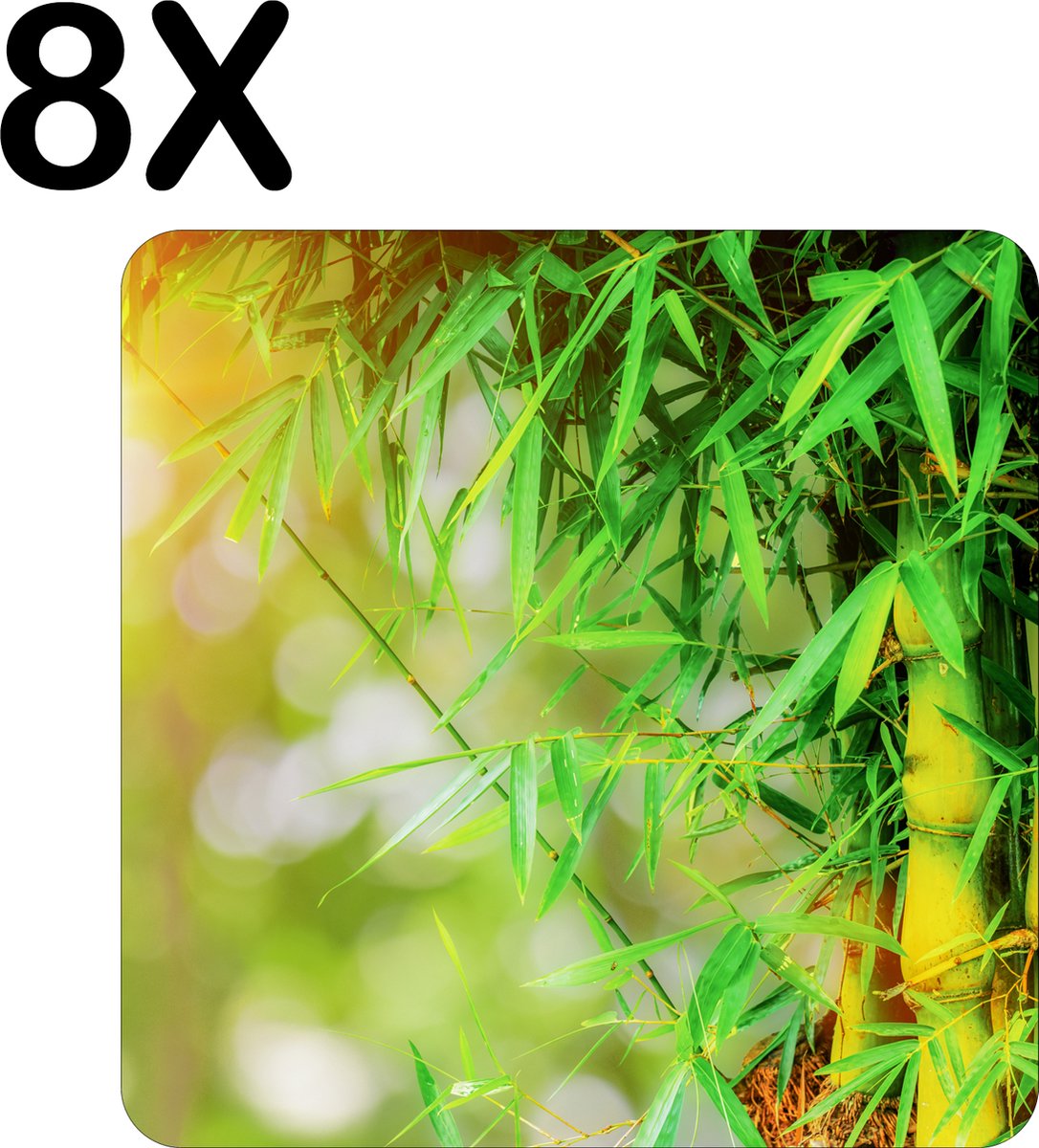 BWK Flexibele Placemat - Groene Bamboo - Set van 8 Placemats - 50x50 cm - PVC Doek - Afneembaar