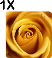 BWK Flexibele Placemat - Close-Up van een Geel / Gouden Roos - Bloem - Set van 1 Placemats - 50x50 cm - PVC Doek - Afneembaar