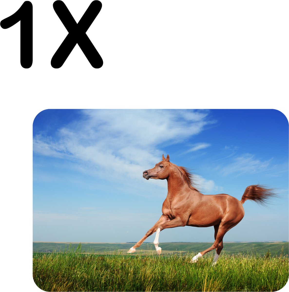 BWK Flexibele Placemat - Paard Gallopperend door het Groene Gras - Set van 1 Placemats - 40x30 cm - PVC Doek - Afneembaar