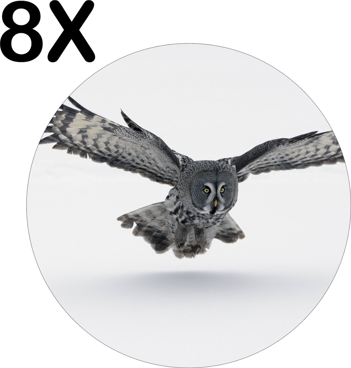 BWK Luxe Ronde Placemat - Grijze Uil Vliegend boven de Sneeuw - Set van 8 Placemats - 40x40 cm - 2 mm dik Vinyl - Anti Slip - Afneembaar