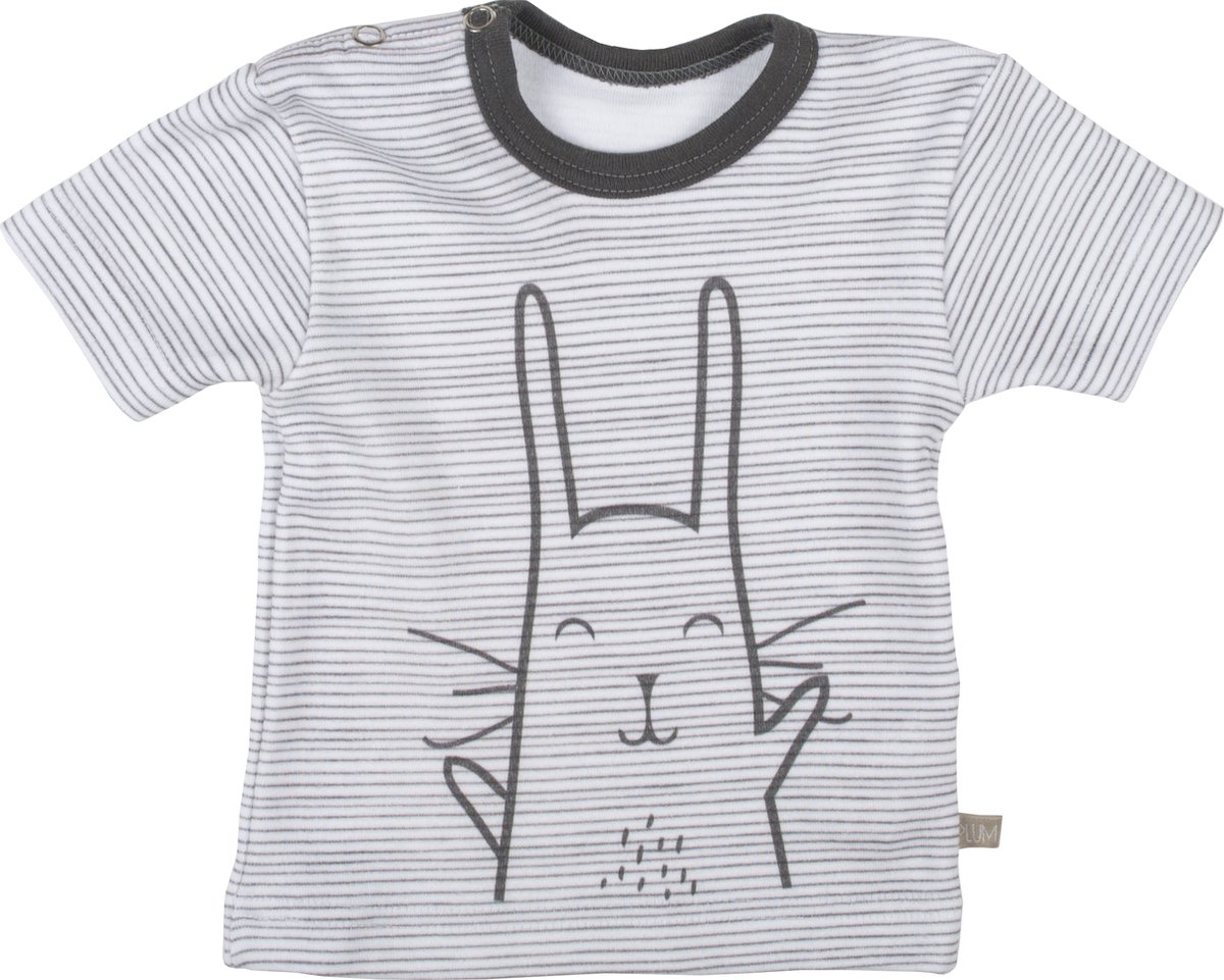 Plum Plum - T-shirt korte mouwen - Bunny - Stripes