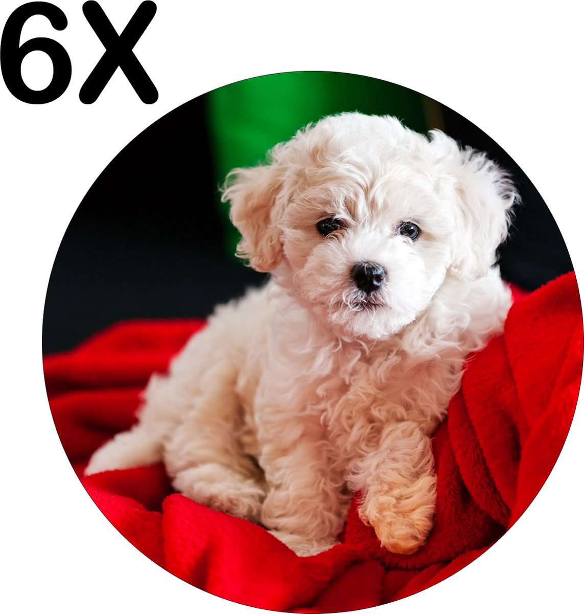 BWK Luxe Ronde Placemat - Bichon Frise - Witte Hond op Rode Deken - Set van 6 Placemats - 50x50 cm - 2 mm dik Vinyl - Anti Slip - Afneembaar
