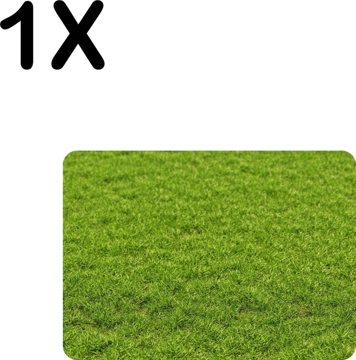 BWK Flexibele Placemat - Groen Gras - Set van 1 Placemats - 35x25 cm - PVC Doek - Afneembaar