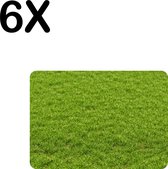 BWK Stevige Placemat - Groen Gras - Set van 6 Placemats - 35x25 cm - 1 mm dik Polystyreen - Afneembaar