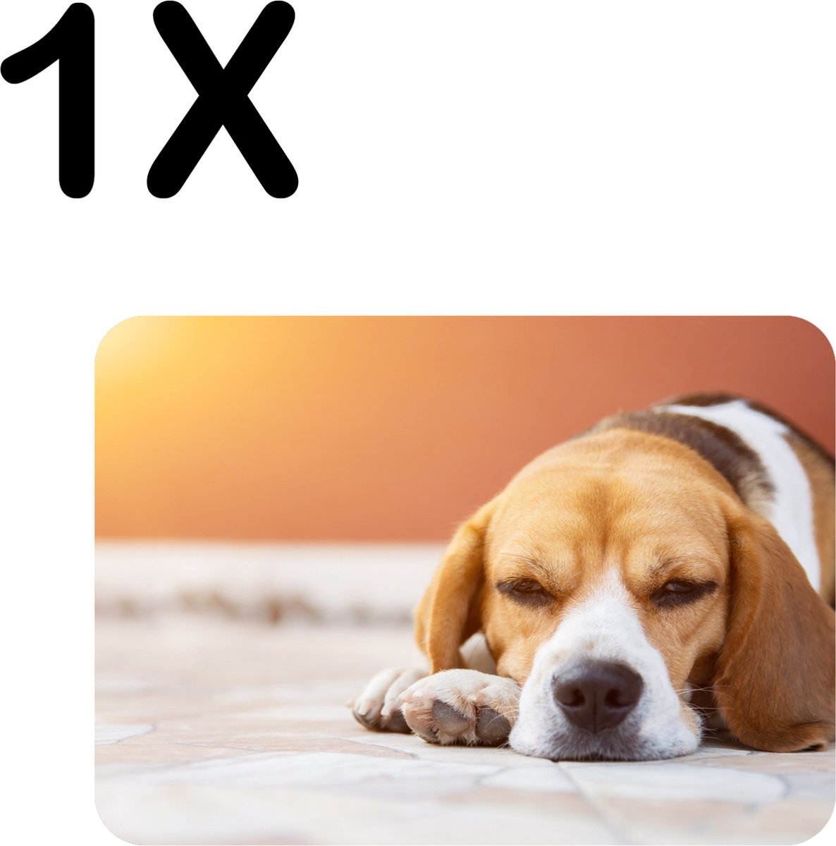 BWK Stevige Placemat - Liggende Beagle Puppy - Set van 1 Placemats - 40x30 cm - 1 mm dik Polystyreen - Afneembaar