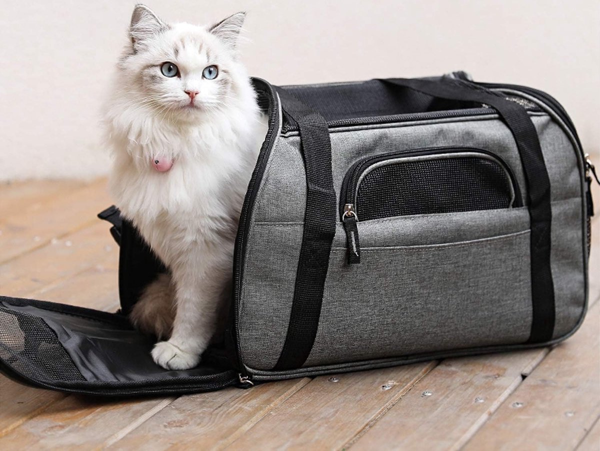 Omniqi Transportbox Voor Katten, Honden, Opvouwbare Kattentransportbox Ademende Transporttas Voor Katten En Honden Kattentransporttas In De Auto Met Voerbak