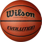 Wilson Evolution Game Indoor - size 6