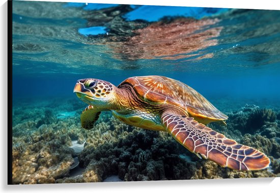 Canvas - Schildpad zwemt door de zee heen met onderwater planten - 120x80 cm Foto op Canvas Schilderij (Wanddecoratie op Canvas)