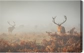 Painting King - Tableau sur toile Cerf dans la brume - 30 x 20 cm