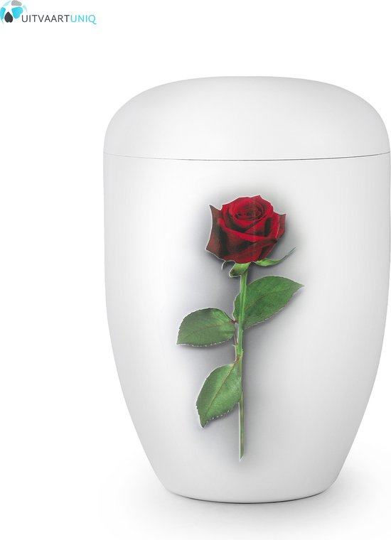 Eco urn wit met rode roos - bio (biologisch afbreekbaar)