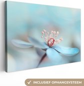 Canvas doek - Foto op canvas - Bloemen - Blauw - Rood - Planten - Wanddecoratie - Canvas foto - 150x100 cm - Canvas schilderij