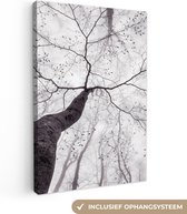 Canvas schilderij - Bomen - Mist - Natuur - Bos - Canvasdoek - Muurdecoratie - Foto op canvas - 40x60 cm - Schilderijen op canvas