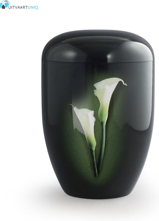 Eco urn zwart met Calla - bio (biologisch afbreekbaar)