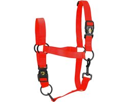 Excellent Horse - L (Cob) - Essential Halster - Halster voor paard - Geschikt voor paarden - Rood