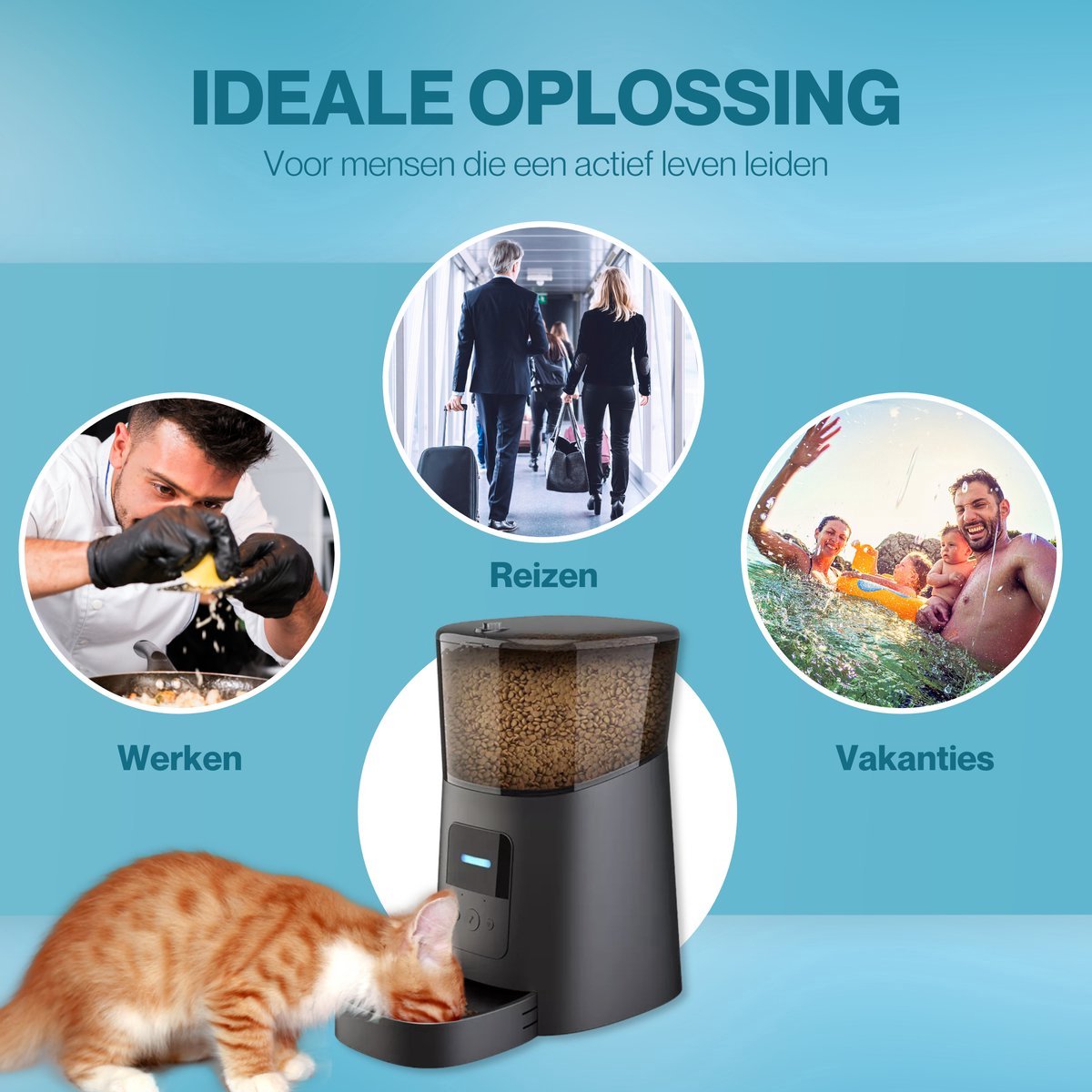 Afbeelding 2 van Automatische Voerbak Kat en Hond - Voerautomaat met smartphone besturing - Voerdispenser - Voerinhoud 6 Liter