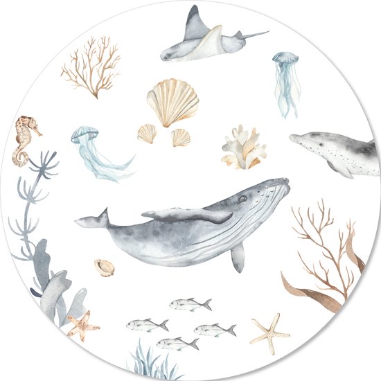 Muurcirkel zeedieren - walvis- muurstickers babykamer - kinderkamer - jongens - behangcirkel - 100cm sticker