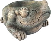 Exo Terra - Ornamenten - Aquarium - Aztec Kikker Waterschaal 40ml - 11,5x10x6cm - 1st