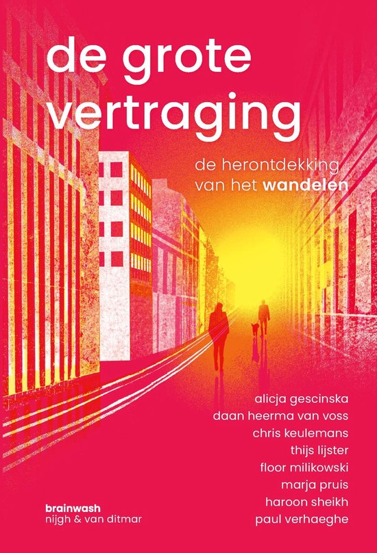 De grote vertraging - cover