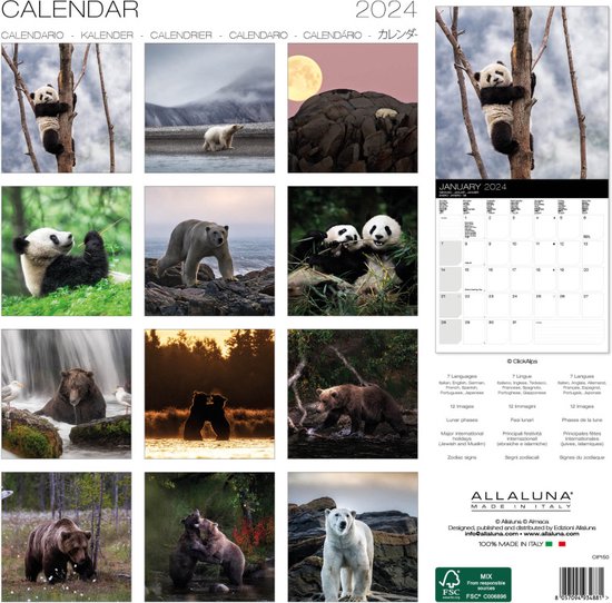 Bears Kalender 2024