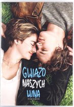 Een vrouw en man liggen op het gras. Het logo 'GWIASD NASZYCH WINA' en 'THE FAULT IN OUR STARS' staan op de voorkant.
