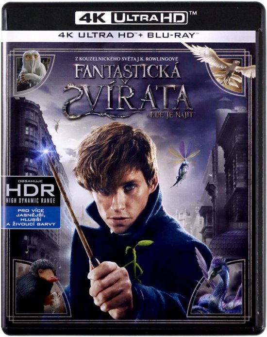 Fantastic Beasts and Where to Find Them [Blu-Ray 4K]+[Blu-Ray]