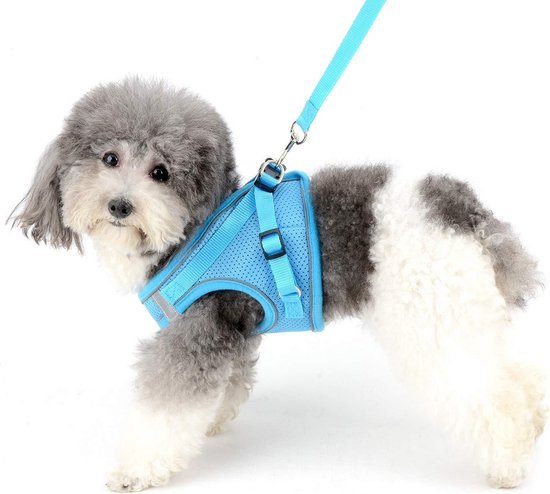 Print Plaid Harnasvest Met Riem - XL (borst 52 Cm) - Reflecterend, Zacht Nylon Mesh, Verstelbaar, Voor Honden 7-10 Kg