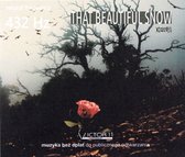 That Beautiful Snow 432 Hz - Chesslay [CD]
