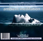 Ambient Meditation 432 Hz - M.Yaro [CD]