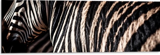 Dibond - Close-up van Strepen van een Zebra - 90x30 cm Foto op Aluminium (Met Ophangsysteem)