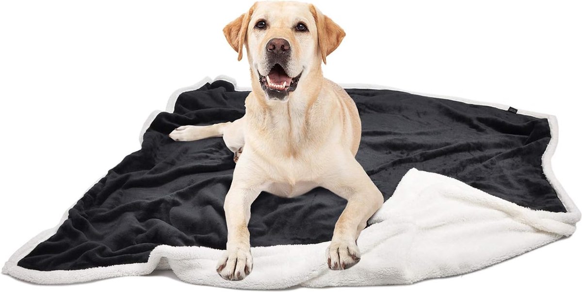 Couverture polaire pour chien, couverture moelleuse et lavable en peluche  Sherpa, lit... | bol