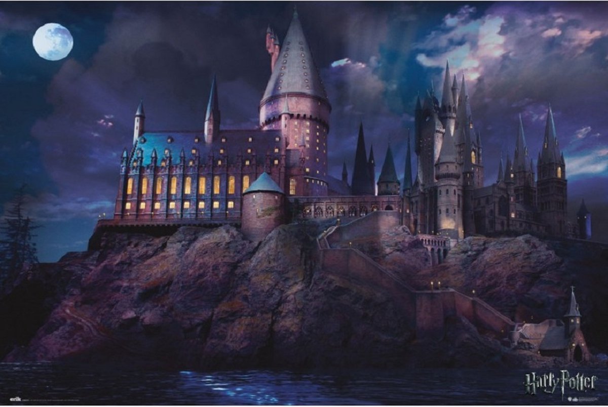 Posterpoint Harry Potter poster - Zweinstein - kasteel - Ron - Hermione - 61 x 91.5 cm multi