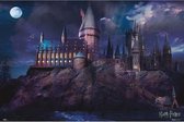 Harry Potter poster - Zweinstein - kasteel - Ron - Hermione - 61 x 91.5 cm
