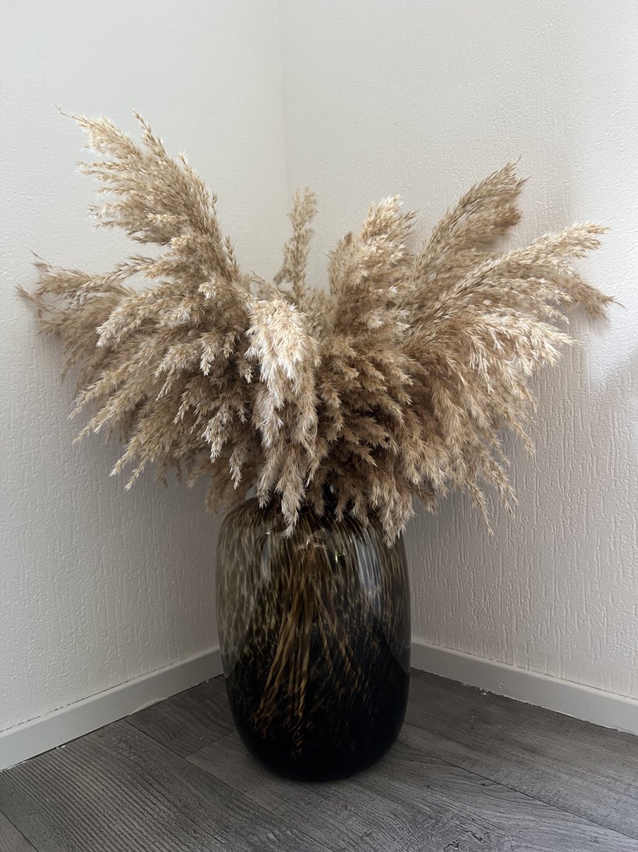 Pampas pluimen | 20 stuks | Pampasgras | Droogbloemen | 100 cm| Boeket decoratie pluimen | Luxury Living | Rietpluimen op Prijzenvolger.com
