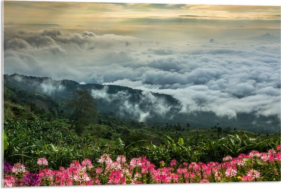 Acrylglas - Bergen - Mist - Bloemen - Planten - Wolken - 90x60 cm Foto op Acrylglas (Met Ophangsysteem)