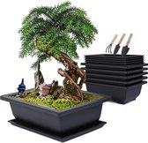 Bonsai schaal met onderzetter, bonsai-trainingshouders van kunststof, plantenpot voor tuin, 6 stuks rechthoekige bloempot met 6 dienbladen en 3 mini-tuingereedschapsset, 23 x 17 x 8 cm