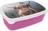 Broodtrommel Roze - Lunchbox - Brooddoos - Schotse hooglander - Koe - Dieren - Berg - Natuur - 18x12x6 cm - Kinderen - Meisje