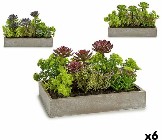 Decoratieve plant Vetplant Plastic Cement 16,5 x 20 x 28,5 cm (6 Stuks)