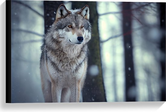 Canvas - Wolf staat in een bos in de sneeuw - 60x40 cm Foto op Canvas Schilderij (Wanddecoratie op Canvas)