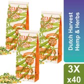 Thee - Dutch Harvest losse Thee - Hennep & Kruidenmix - Hemp & Herbs - Voordeelset Inclusief Glazen Voorraadpot - 3 x 40 gram