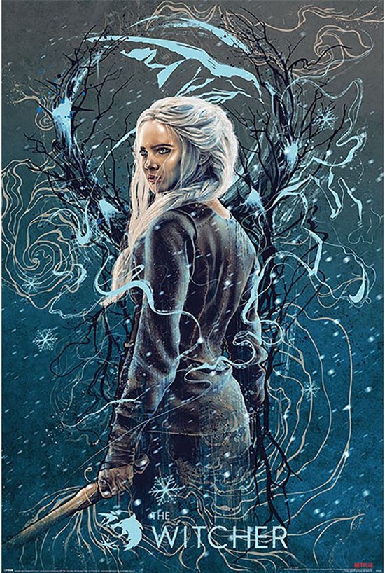 Poster - The Witcher Ciri The Swallow - 91.5 X 61 Cm - Multicolor