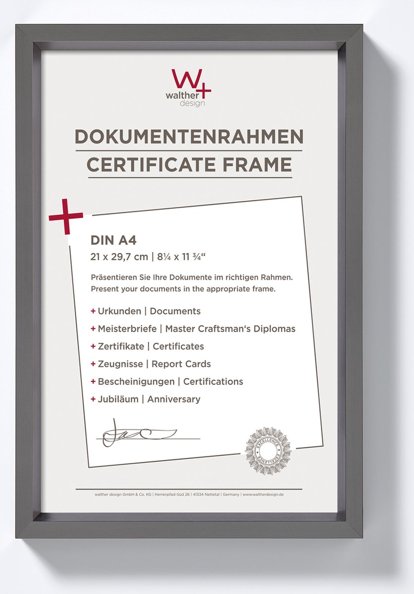 Walther Steel Style - Kunststof lijst - Fotoformaat 21x29.7 cm - Staal