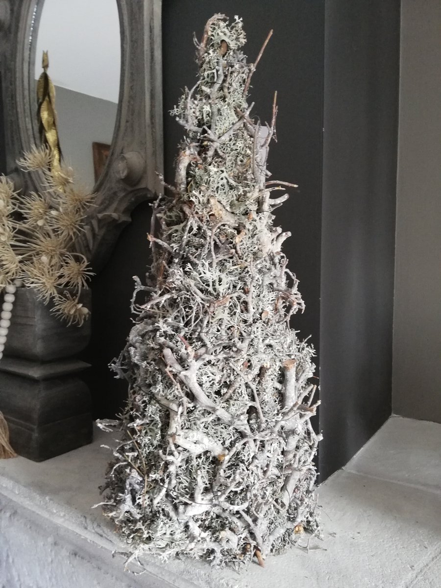 Couronne - Boompje van bonsai 'Moss' (White wash, 50cm)