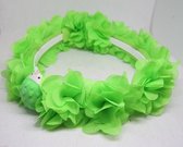 ZoeZo Design - haarband - diadeem - egel - groen - handmade