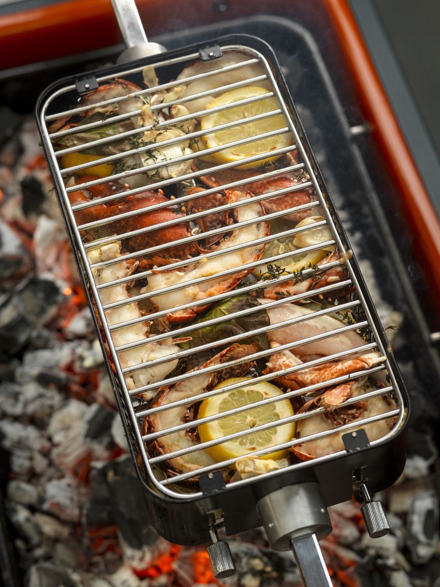 Everdure Fusion/HUB Rotisserie Cage - Black
