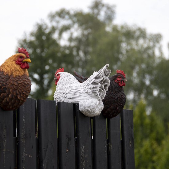 Vind tuin decoratie kippen op - maart 2026